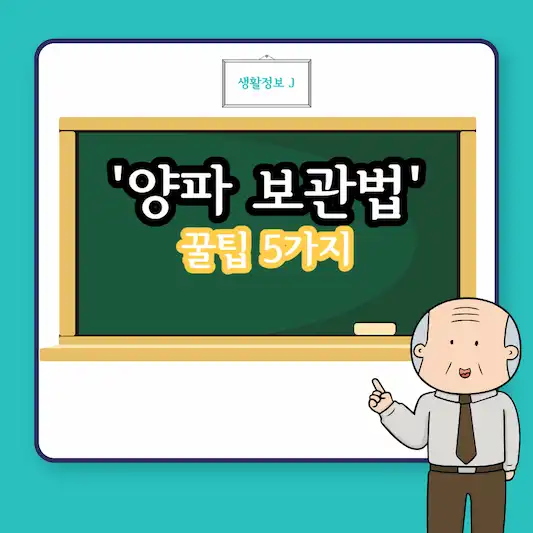 양파 싱싱하게 보관법 꼭 알아야 할 꿀팁 5가지