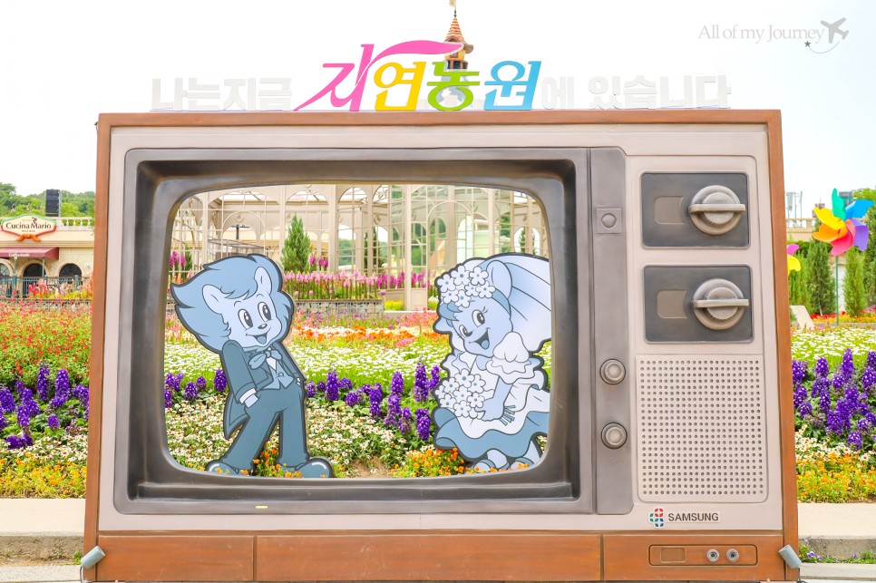 할인으로 간단하게 에버랜드 자유이용권 6