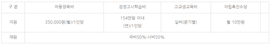 청소년 한 부모 가구 지원 내용