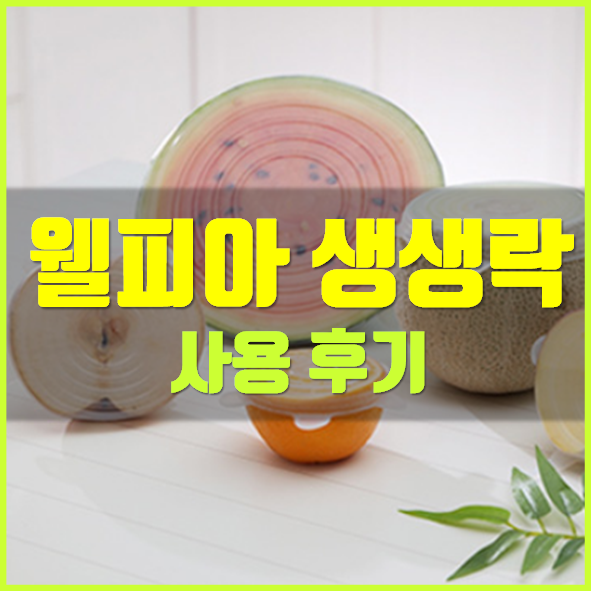  웰피아 생생락 후기
