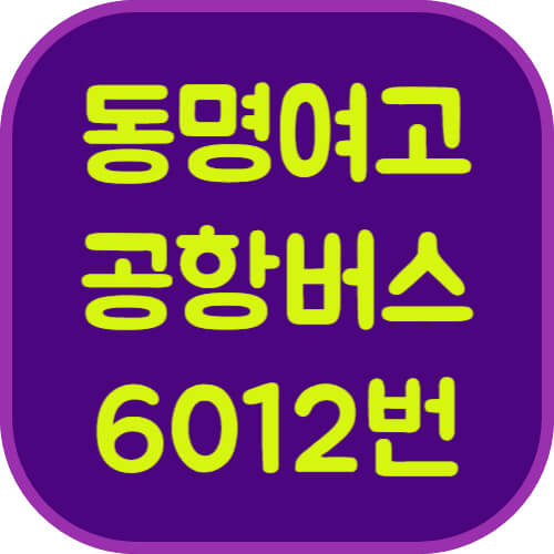 6012번-동명여고-공항버스-이미지