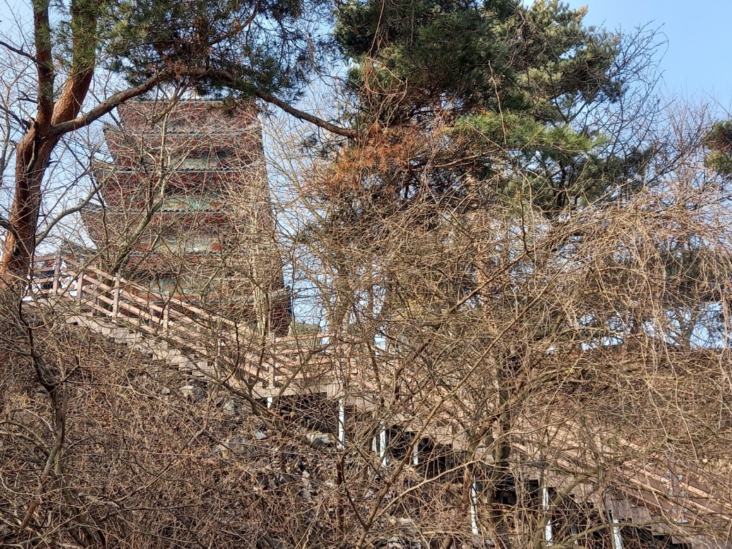 img.jpg