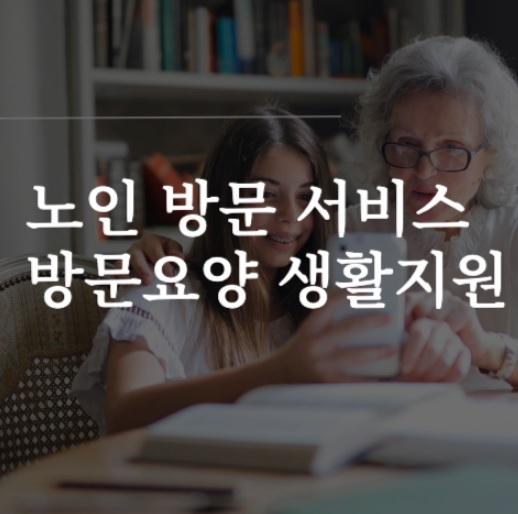 노인 방문요양 서비스