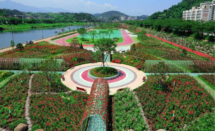 2025 삼척 장미공원 장미축제 일정 주차 볼거리_2