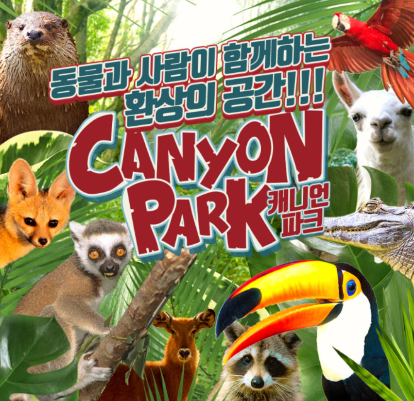  코로나가 끝나면 아이와 가야할 캐니언파크 - 부산 아이와 가볼만한 실내 동물원