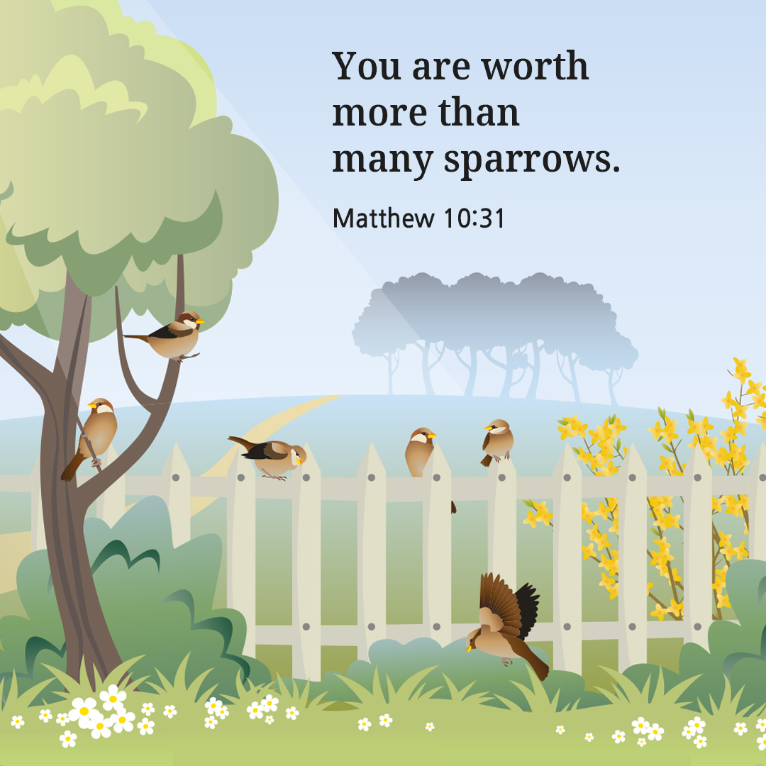 You are worth more than many sparrows. (Matthew 10:31)