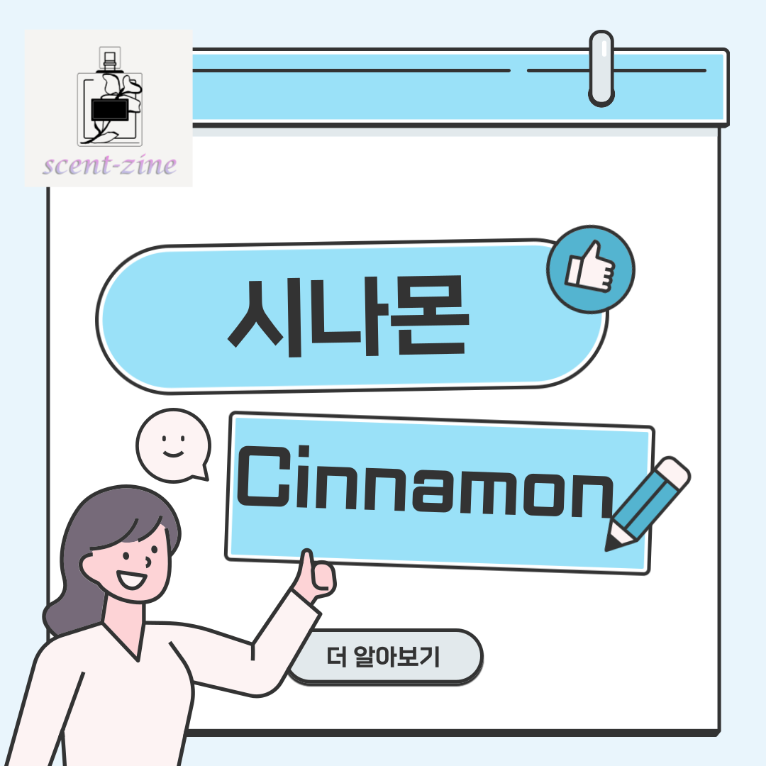  시나몬 계피 오리엔탈향 위험한 매력