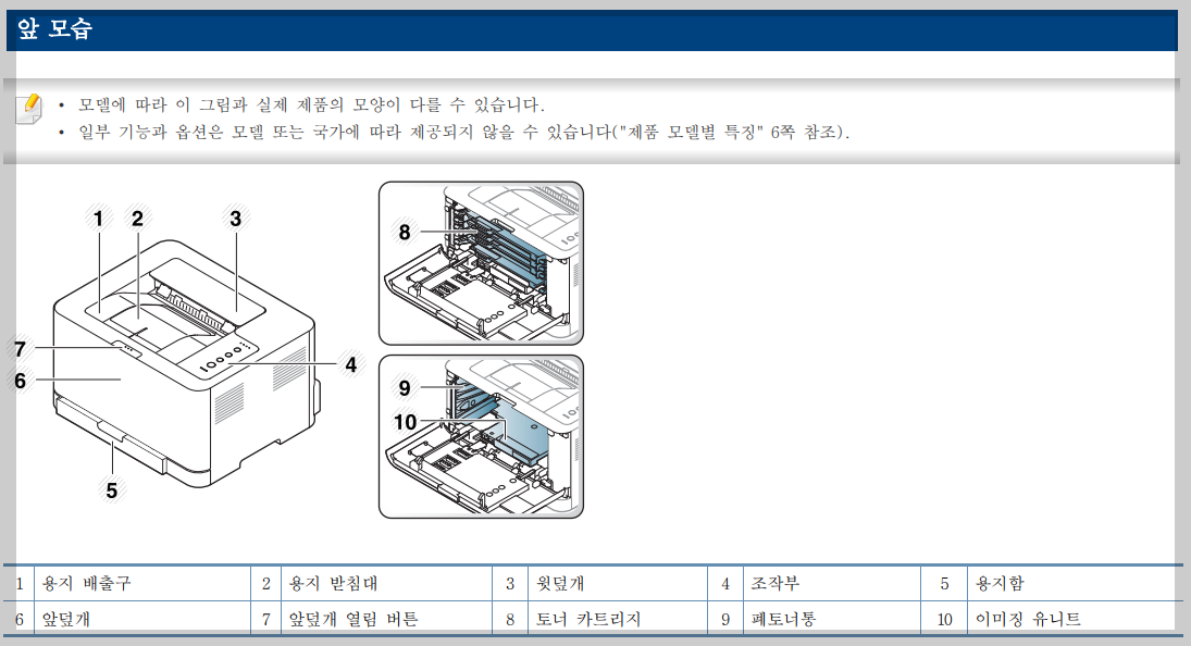 앞모습