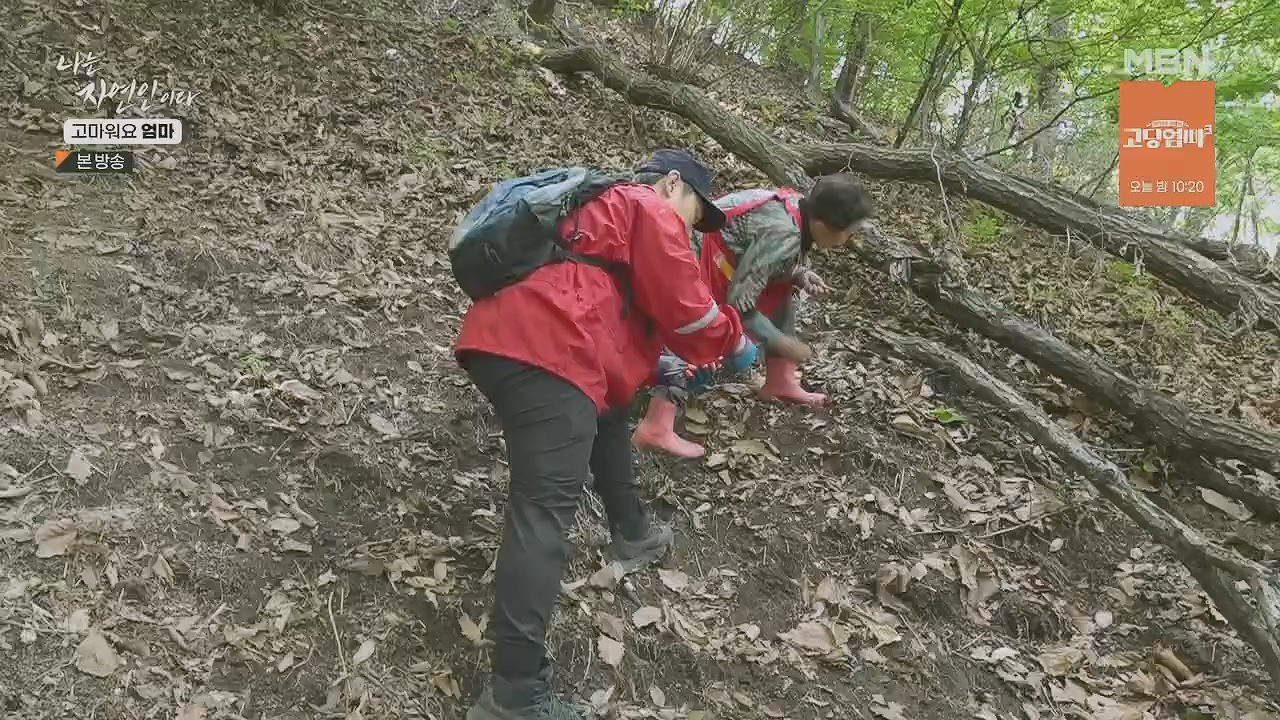 나는 자연인이다.E554.230518p.H264-F1RST.mp4_20230518_194515.107.jpg