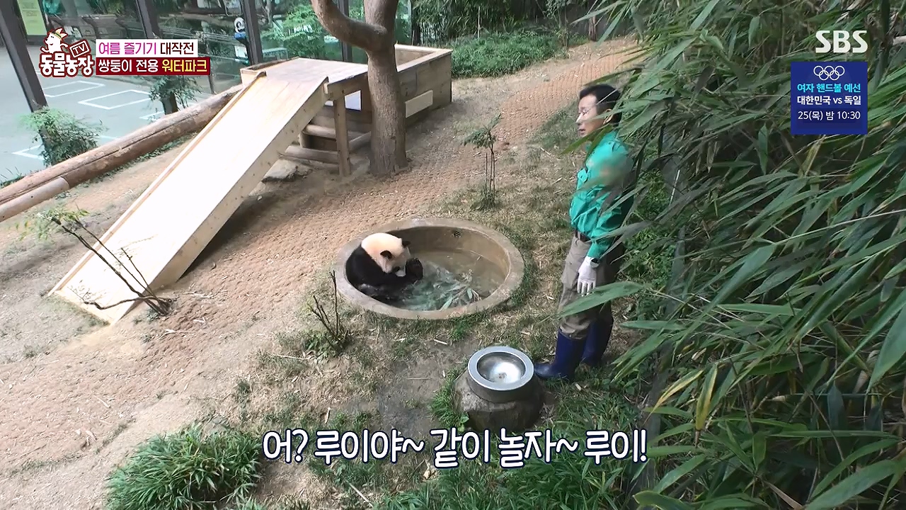 TV 동물농장.E1181.240722p-NEXT.mp4_20240721_165549.903.jpg