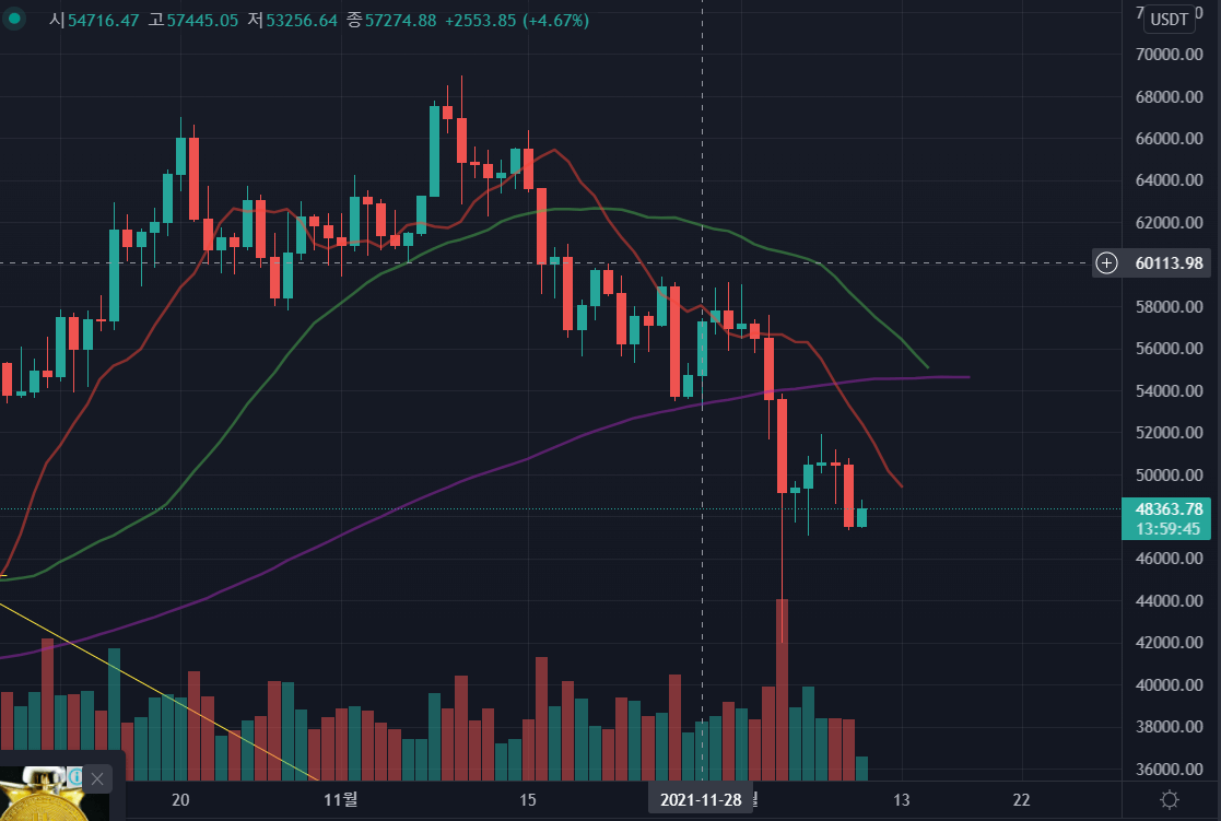 비트코인-시세-차트-48363달러