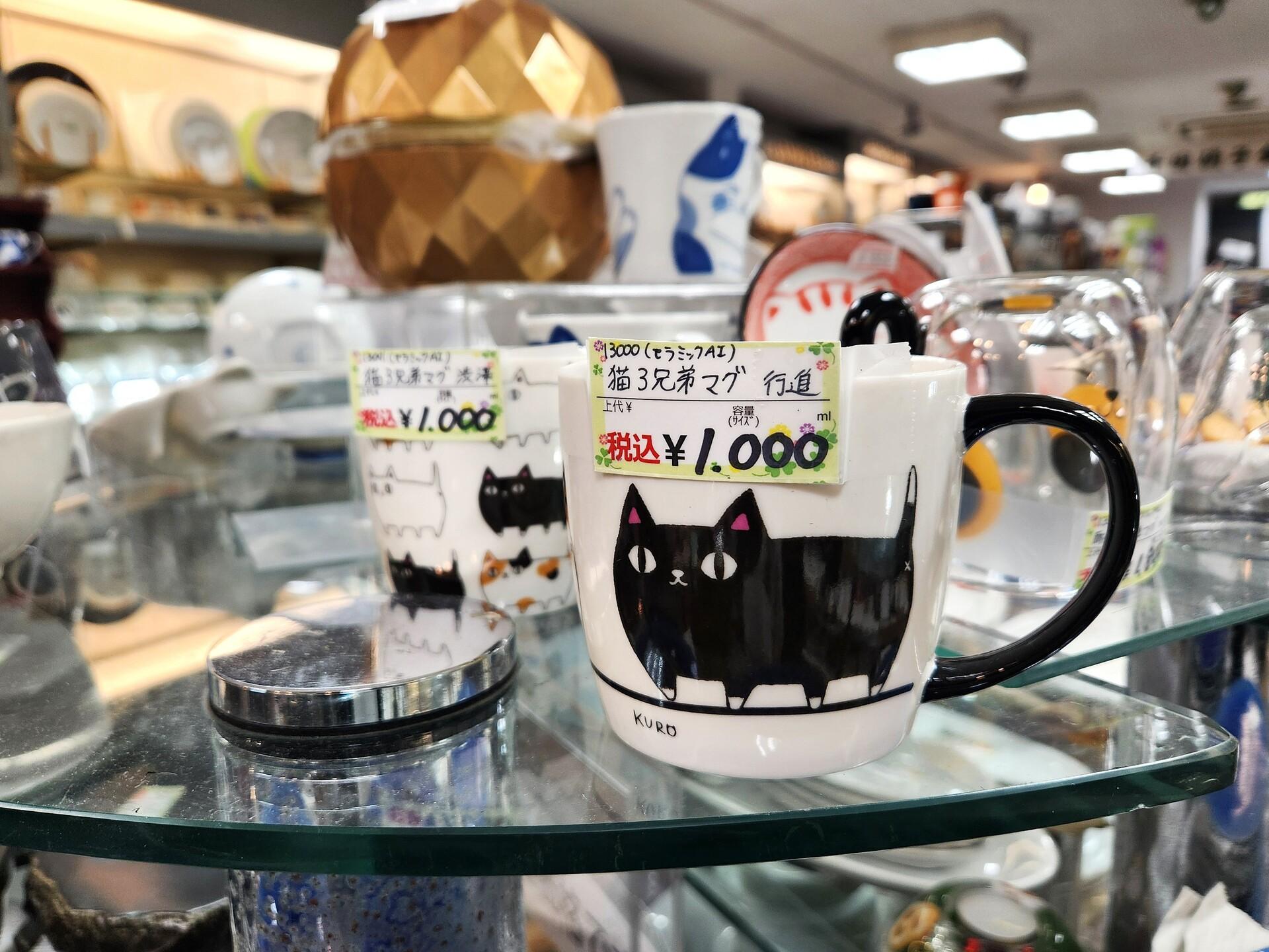 보면 볼수록 매력적인 고양이 컵