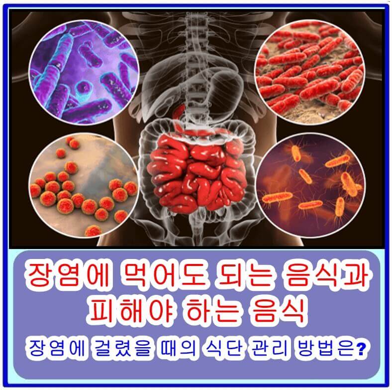  장염에 먹어도 되는 음식과 피해야 하는 음식, 장염에 걸렸을 때의 식단 관리 방법은?