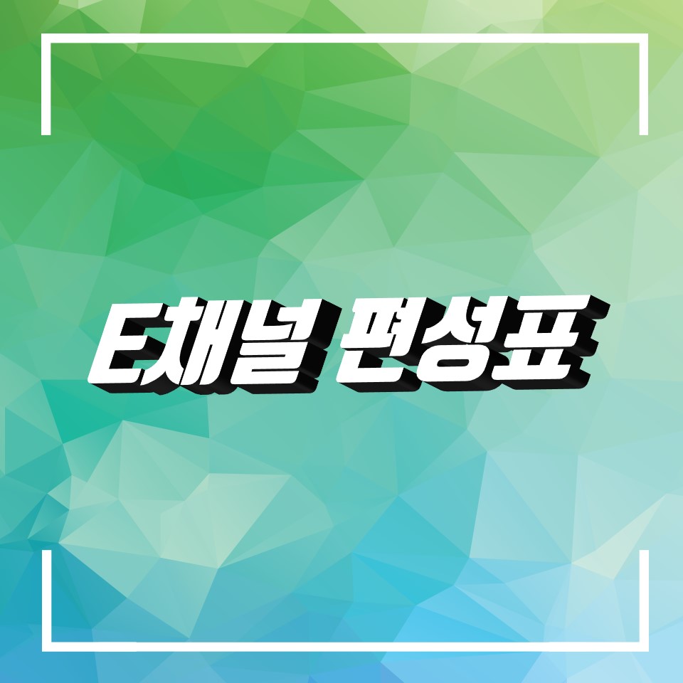  E채널 편성표 채널 번호 확인