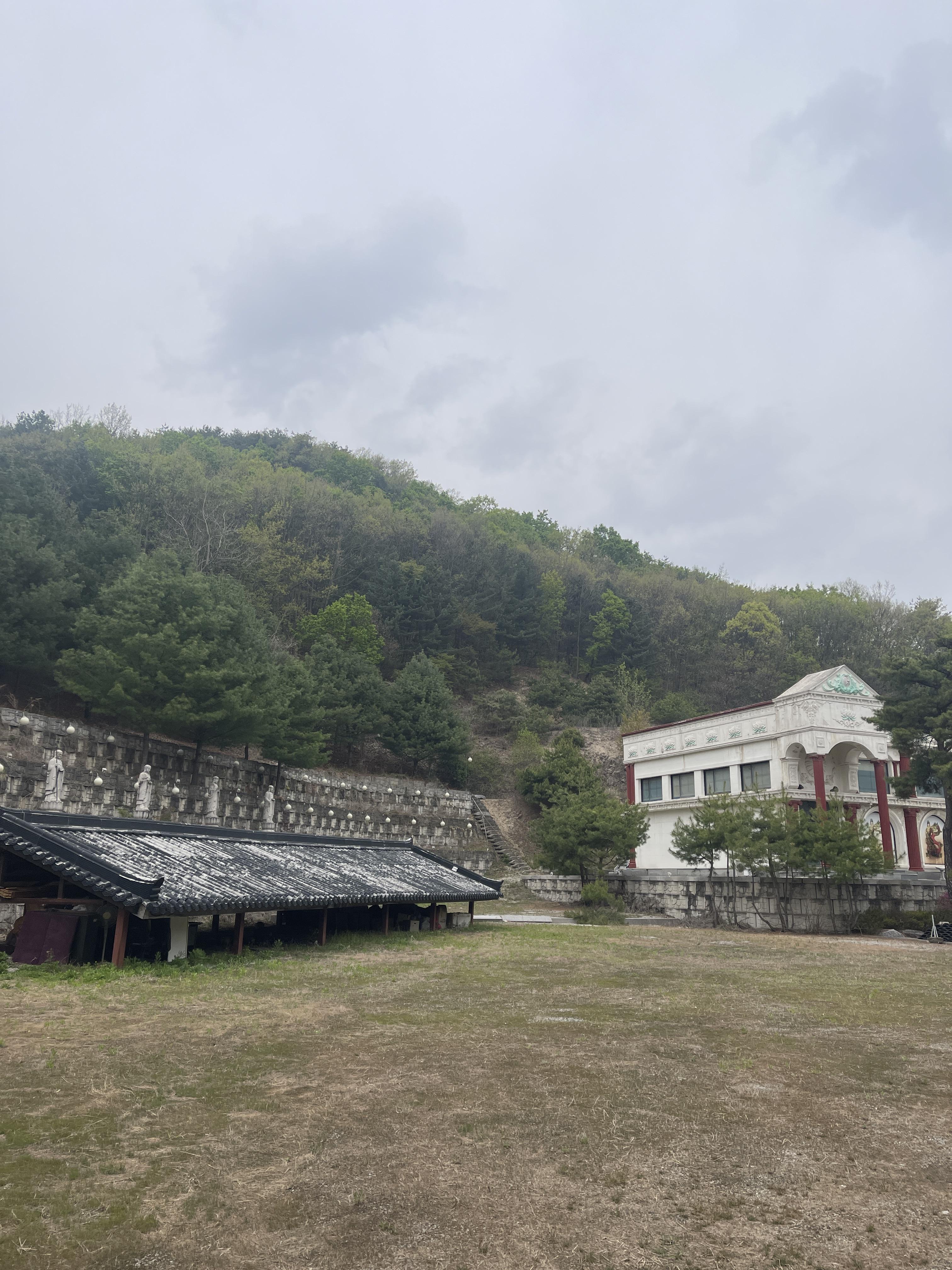 백화사 12