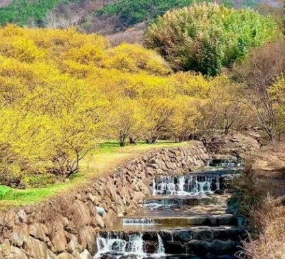 구례 산수유마을 전경 일부