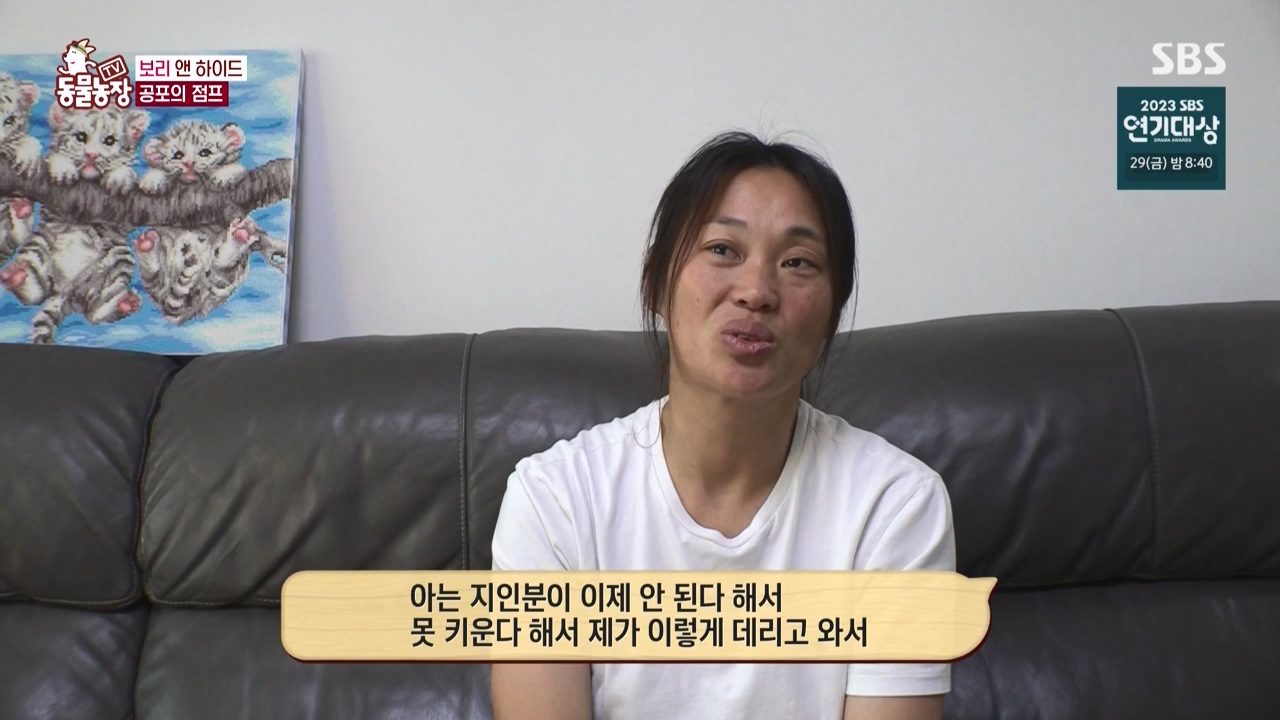 TV 동물농장.E1150.231218p-NEXT.mp4_20231217_171343.164.jpg