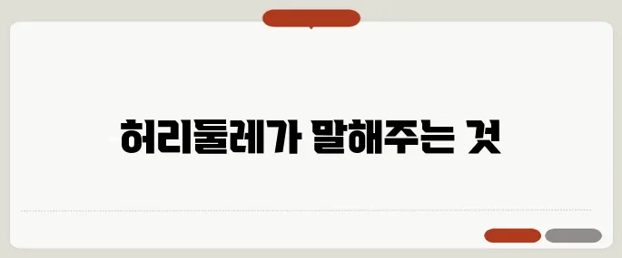 허리둘레 계산기 건강 관리 첫걸음