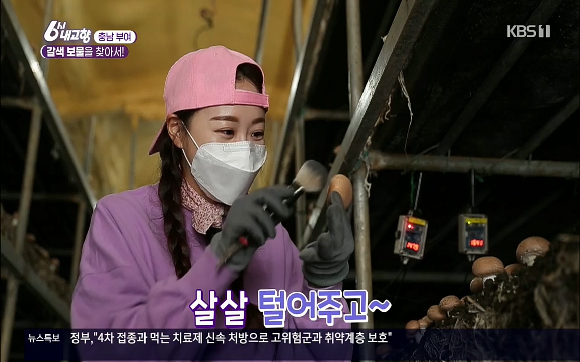 6시 내고향.E7512.220416p.H264-F1RST.mp4_20220502_194130.545.jpg