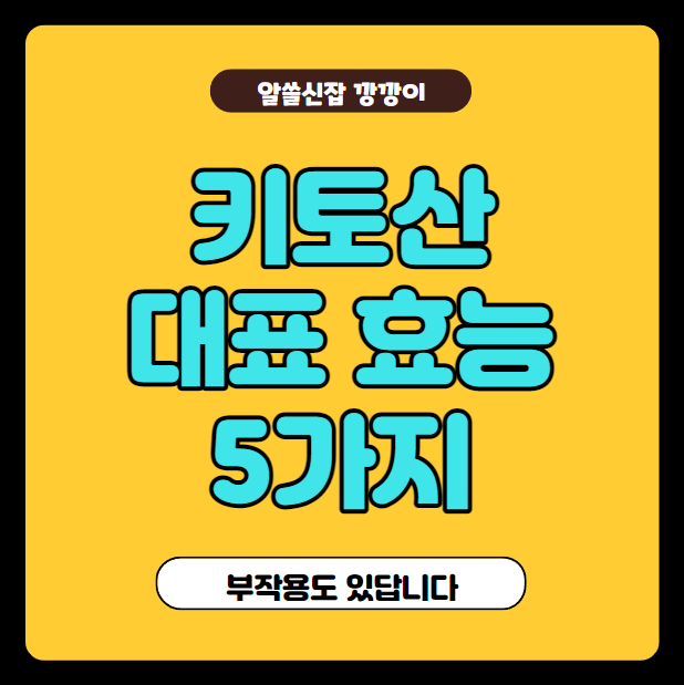  키토산의 대표적인 효능 5가지, 부작용 정리