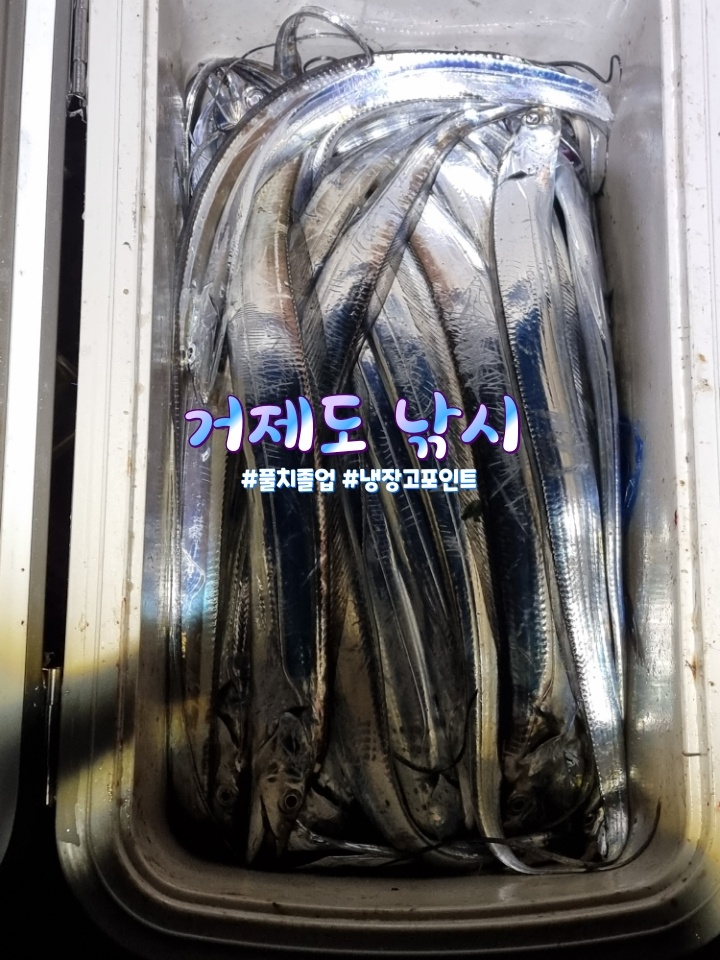  거제도낚시 알려지지않은 나만의포인트장소