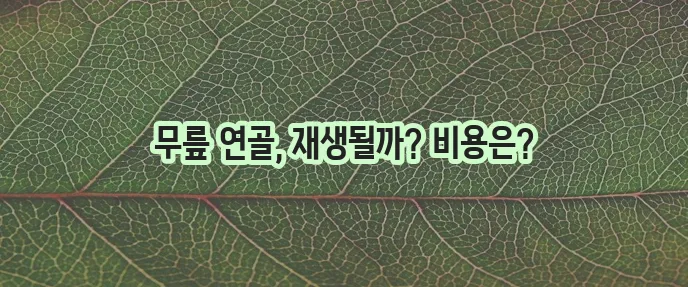 무릎 연골 줄기세포 치료 효과와 장점 비용을 확실히 알아봅시다!