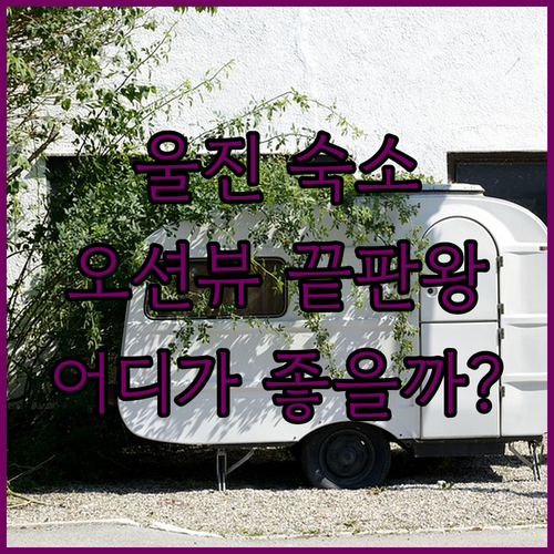 울진 여행 필수 숙소! 오션뷰 끝판왕