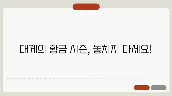 대게 제철 언제