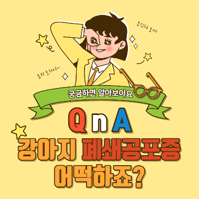 강아지 폐쇄공포증 해결법