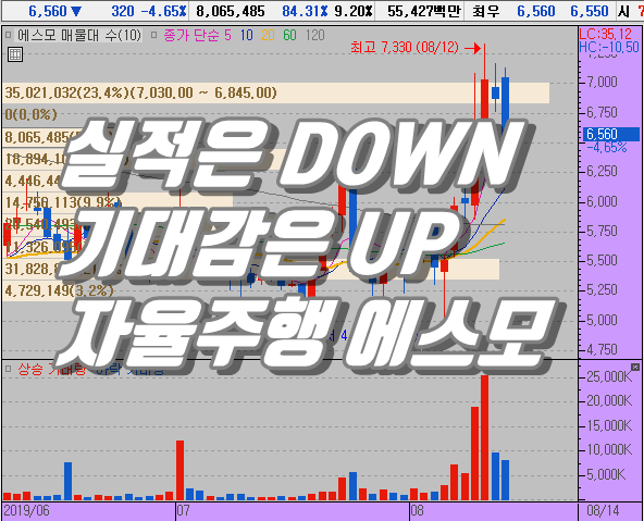  실적은 DOWN 기대감은 UP, 자율주행 차 기대감 에스모 주가는?
