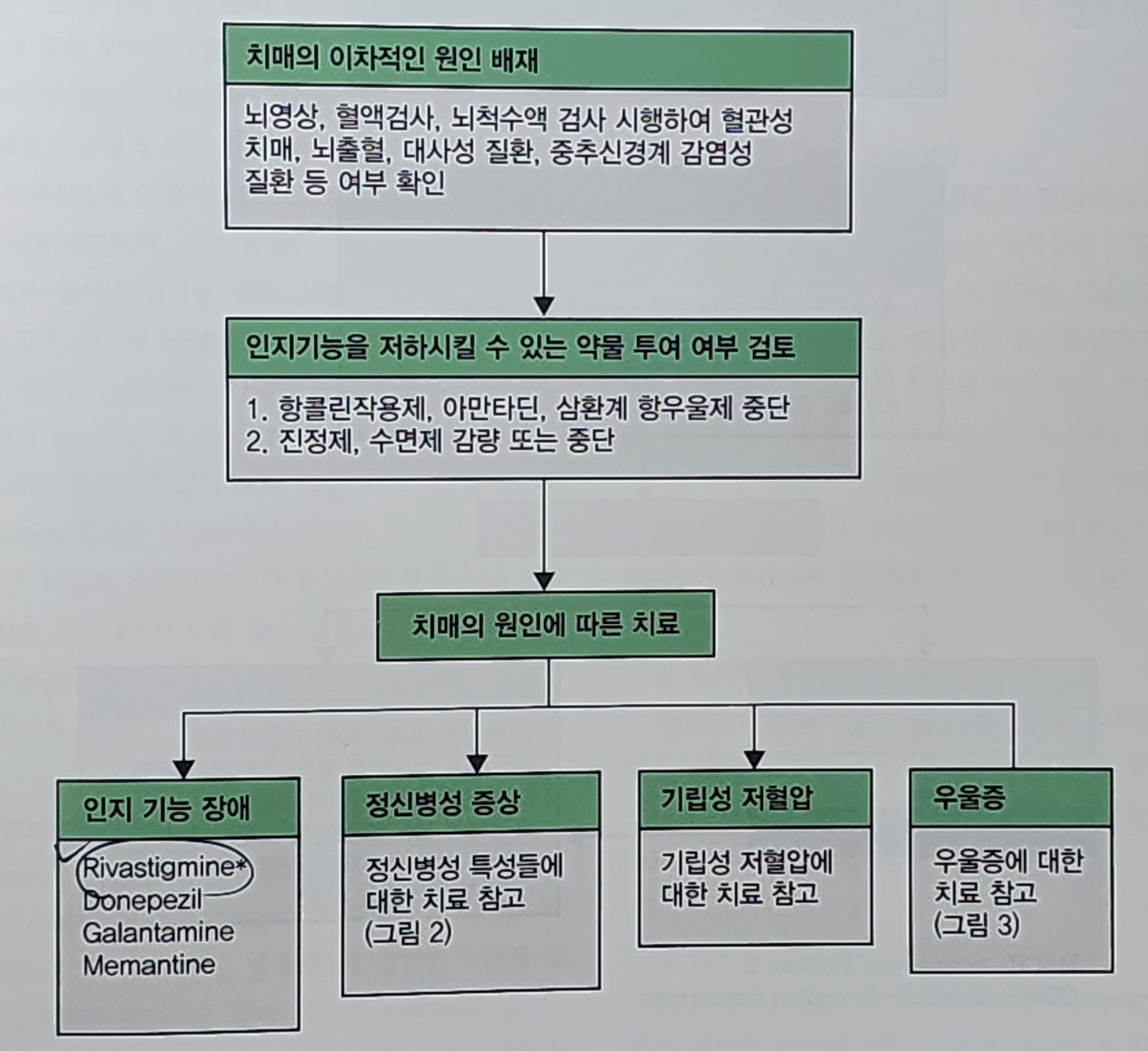 파킨슨병의 내과적 치료2