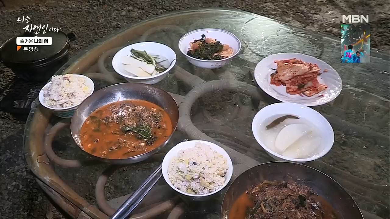 나는 자연인이다.E535.230105p.H264-F1RST.mp4_20230106_204005.773.jpg