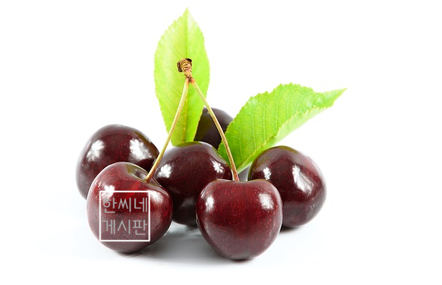  타트체리 효능 및 부작용과 주의사항에 대해 알아봅시다!