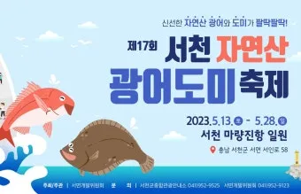 서천 광어 도미 축제에서 제철 맛 체험 완벽 여행 가이드_14