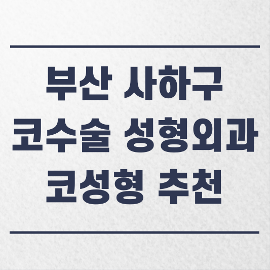 부산 사하구 코수술 성형외과 추천 코성형 잘하는 곳 가격 비용 금액 후기.png