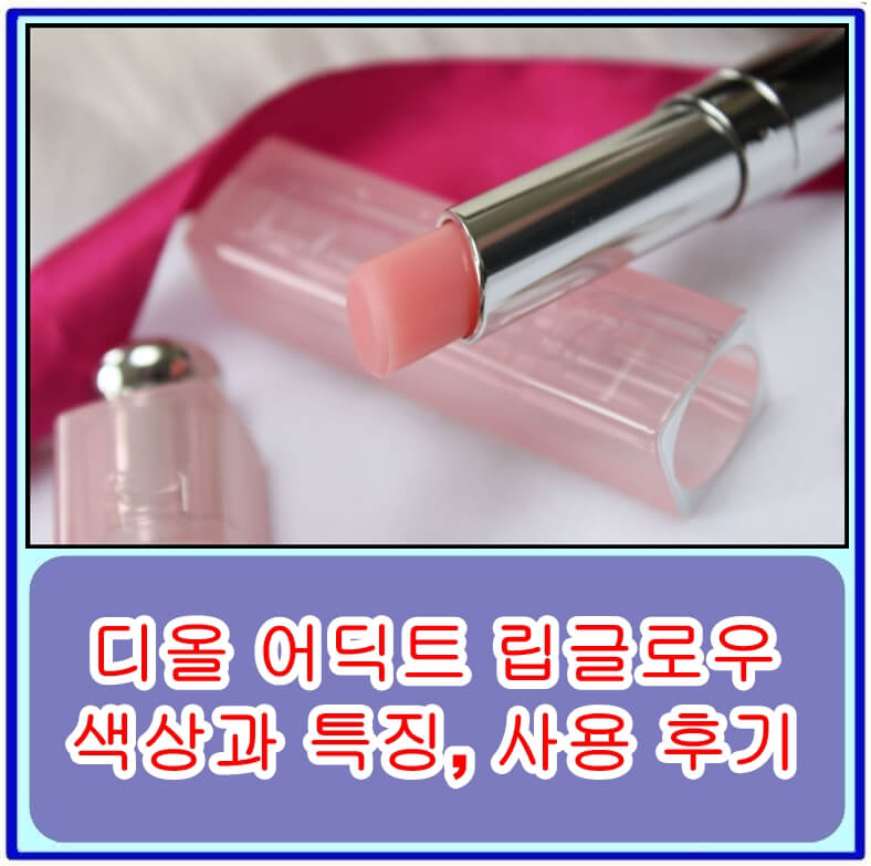  디올 어딕트 립글로우의 다양한 색상과 특징, 그리고 사용 후기