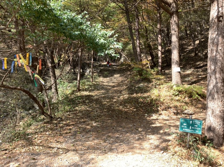 오서산 최단코스 [BAC 100대명산 / 보령 오서산 최단코스] 오서산자연휴양림 ~ 월정사 13