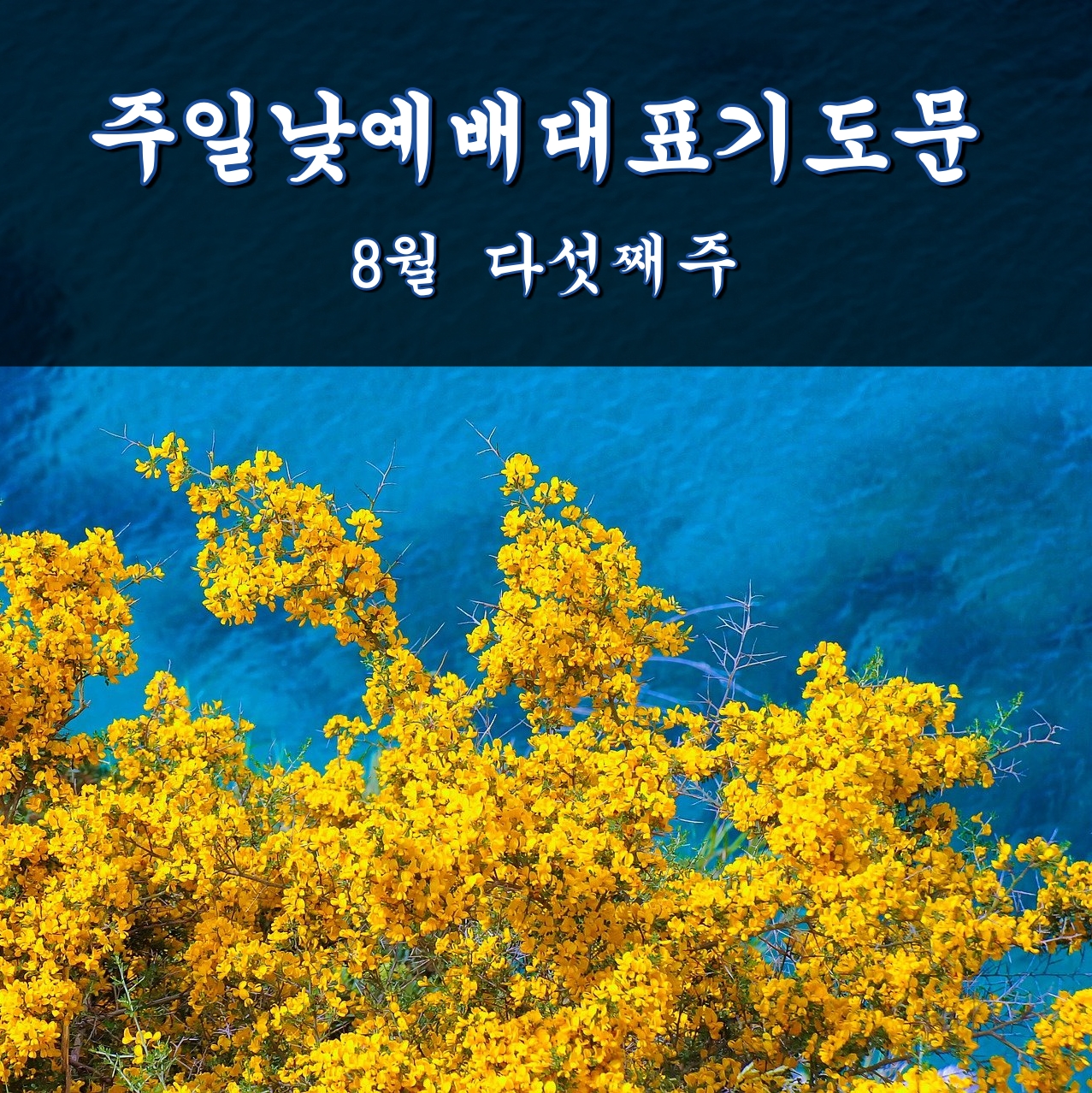  8월 다섯째주 주일예배 대표기도문