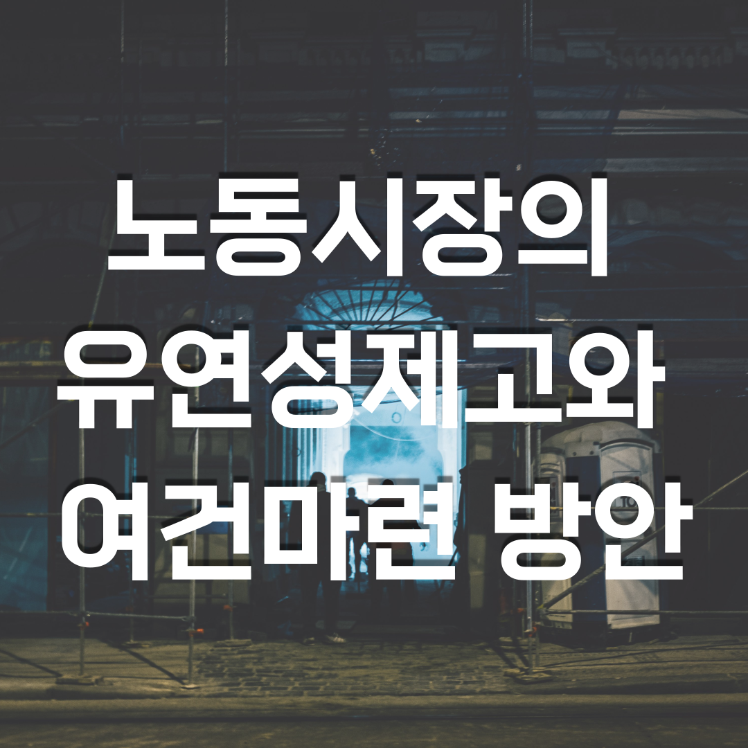  노동시장의 유연성제고와 여건마련 방안