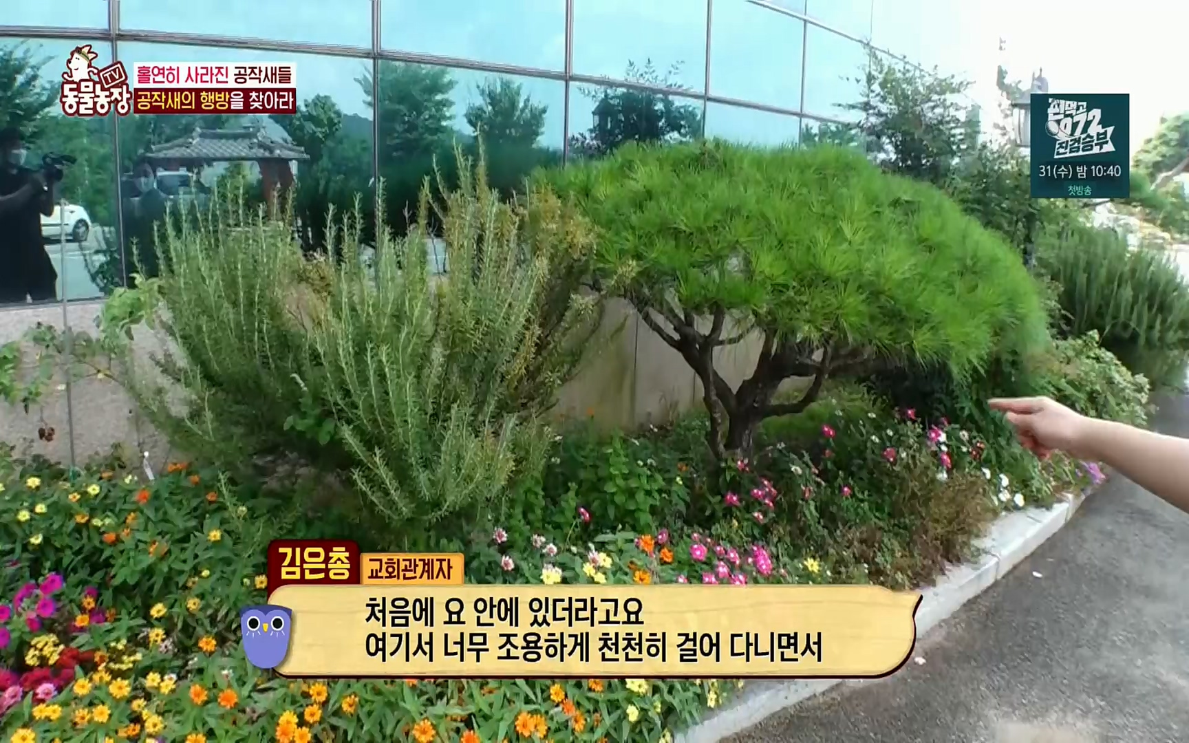 TV 동물농장.E1084.220828p.H264-F1RST.mp4_20220828_154046.992.jpg