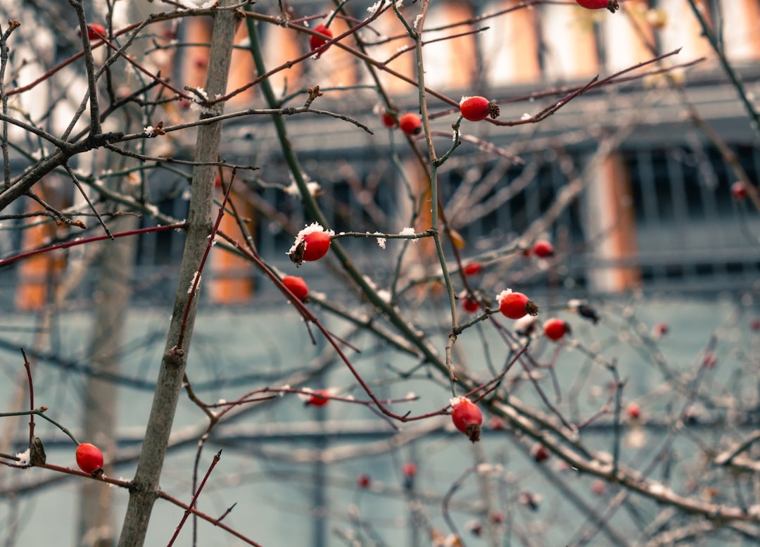 January.