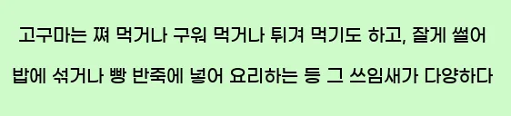  고구마는 쪄 먹거나 구워 먹거나 튀겨 먹기도 하고, 잘게 썰어 밥에 섞거나 빵 반죽에 넣어 요리하는 등 그 쓰임새가 다양하다