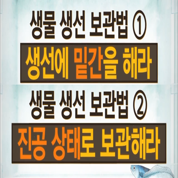  생선 보관법, 생물 생선 보관하는 법