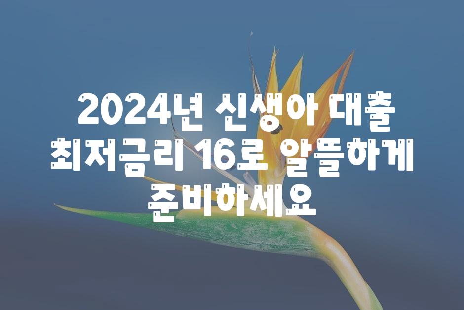  2024년 신생아 대출 최저금리 16로 알뜰하게 준비하세요