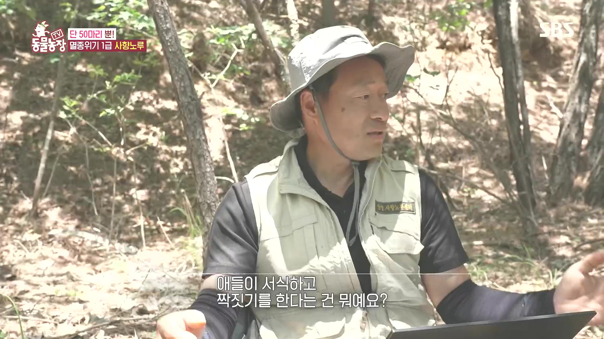 TV 동물농장.E1185.240818p.H264-F1RST.mp4_20240818_161125.711.jpg