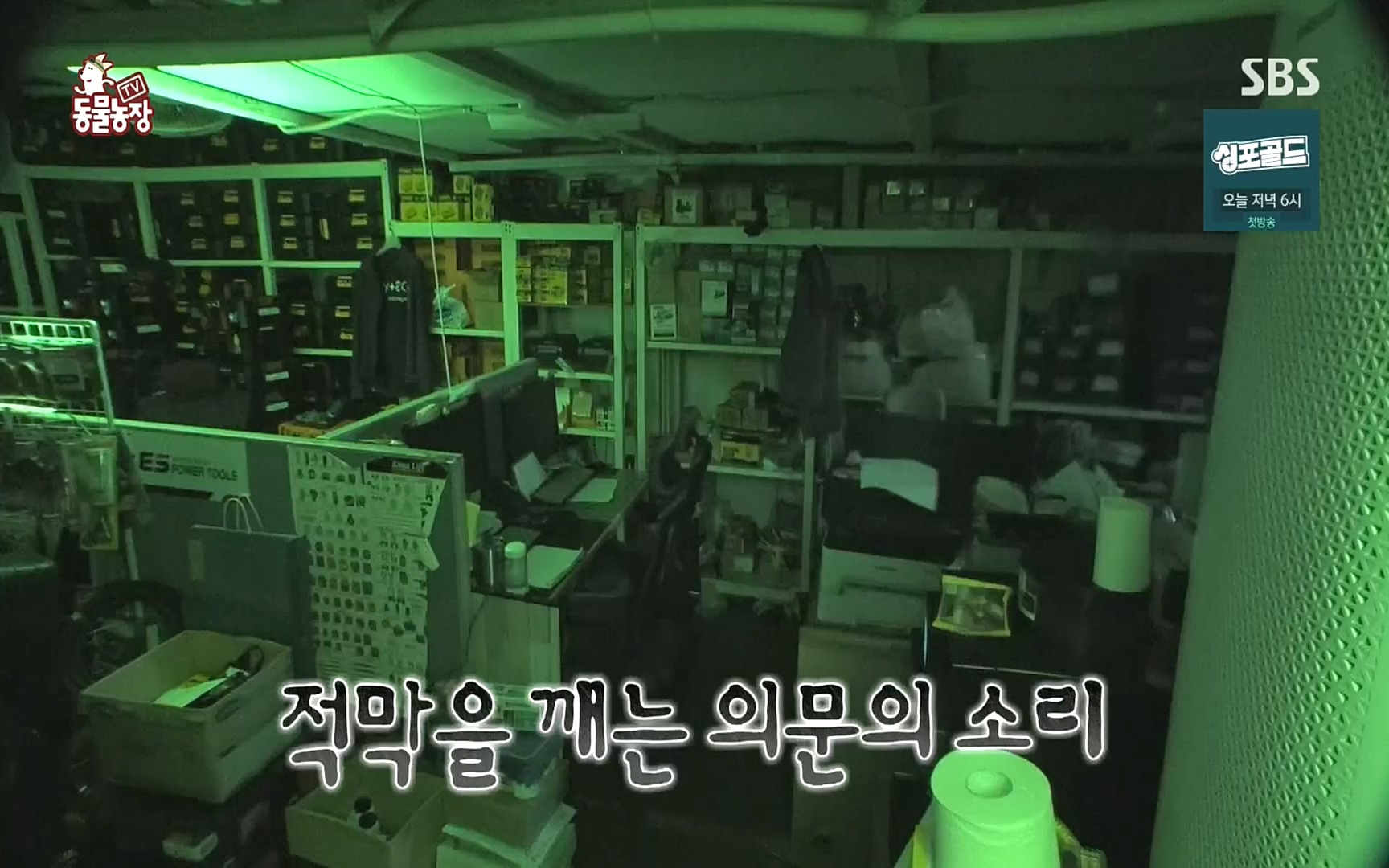 TV 동물농장.E1088.220925p.H264-F1RST.mp4_20220925_174356.477.jpg