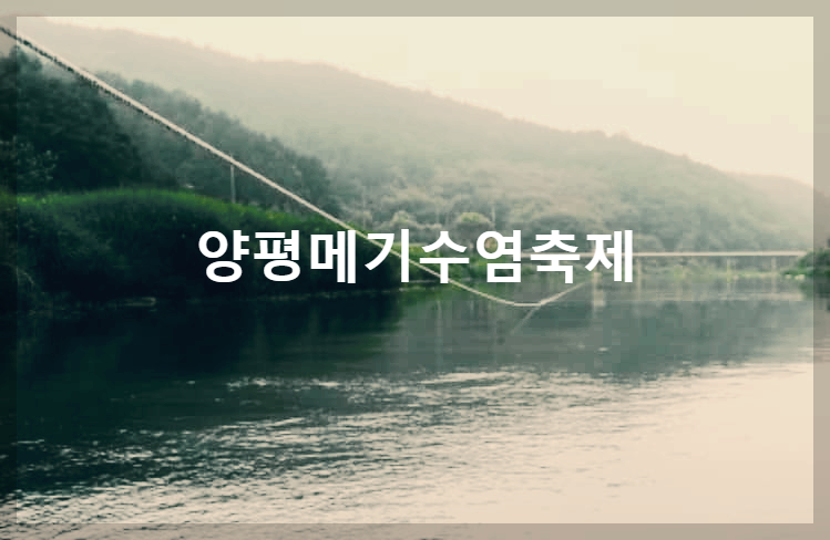  양평메기수염축제 : 깨끗하고 물맑은곳에서 메기와 함께하는 특별한 시간
