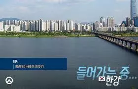  싱글벙글 코인 짤 모음집