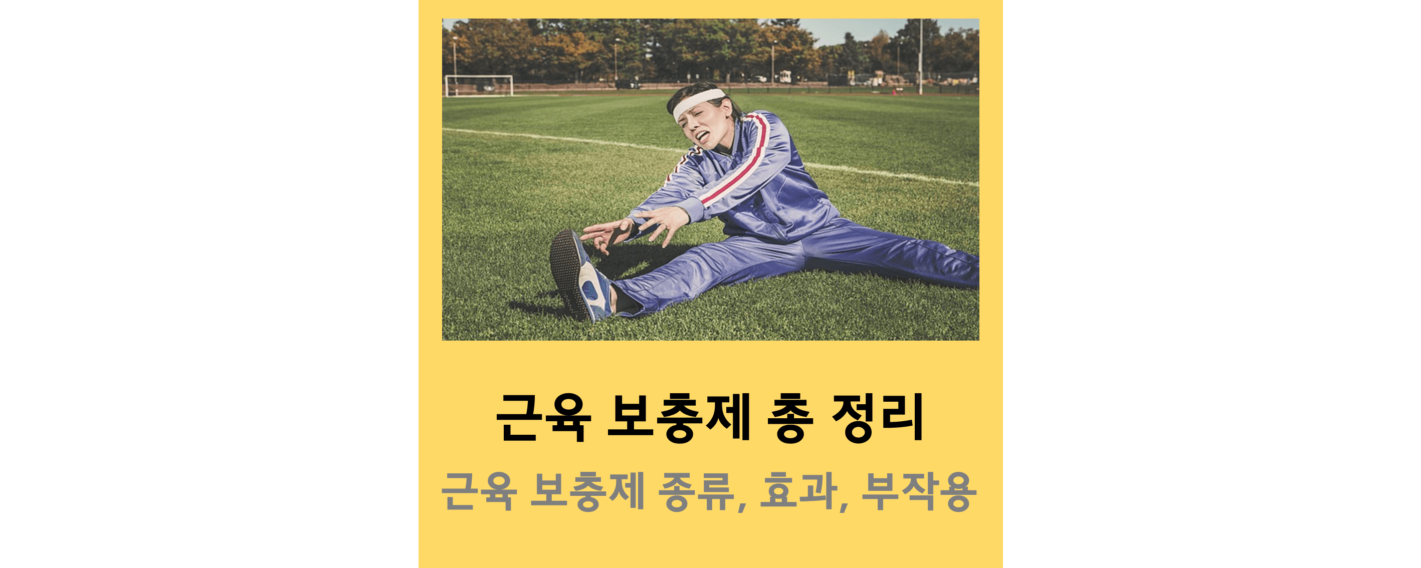 보충제