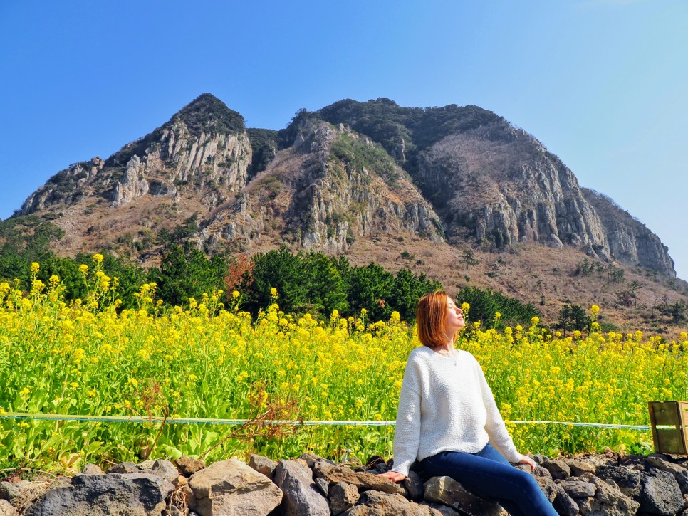 오늘 24도 가볍게 입으세요 2월 제주도 날씨 13